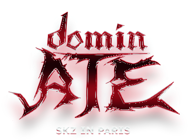 Stray Kids France